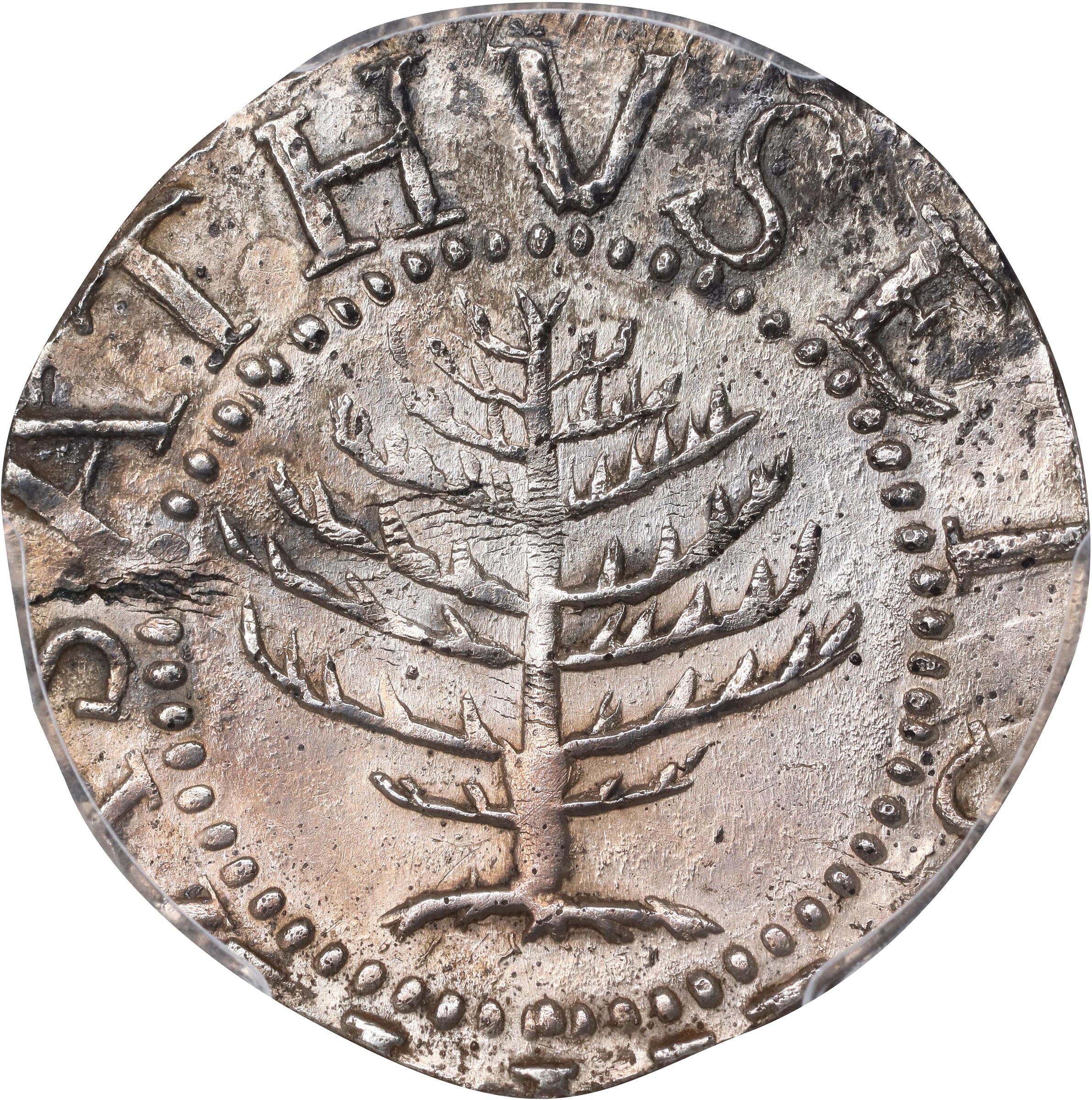 image for: 1652 Pine Tree Shilling. Large Planchet. Noe-3, Salmon 3-C, W-710. Rarity-6. Without Pellets at Trunk. MS-61 (PCGS).