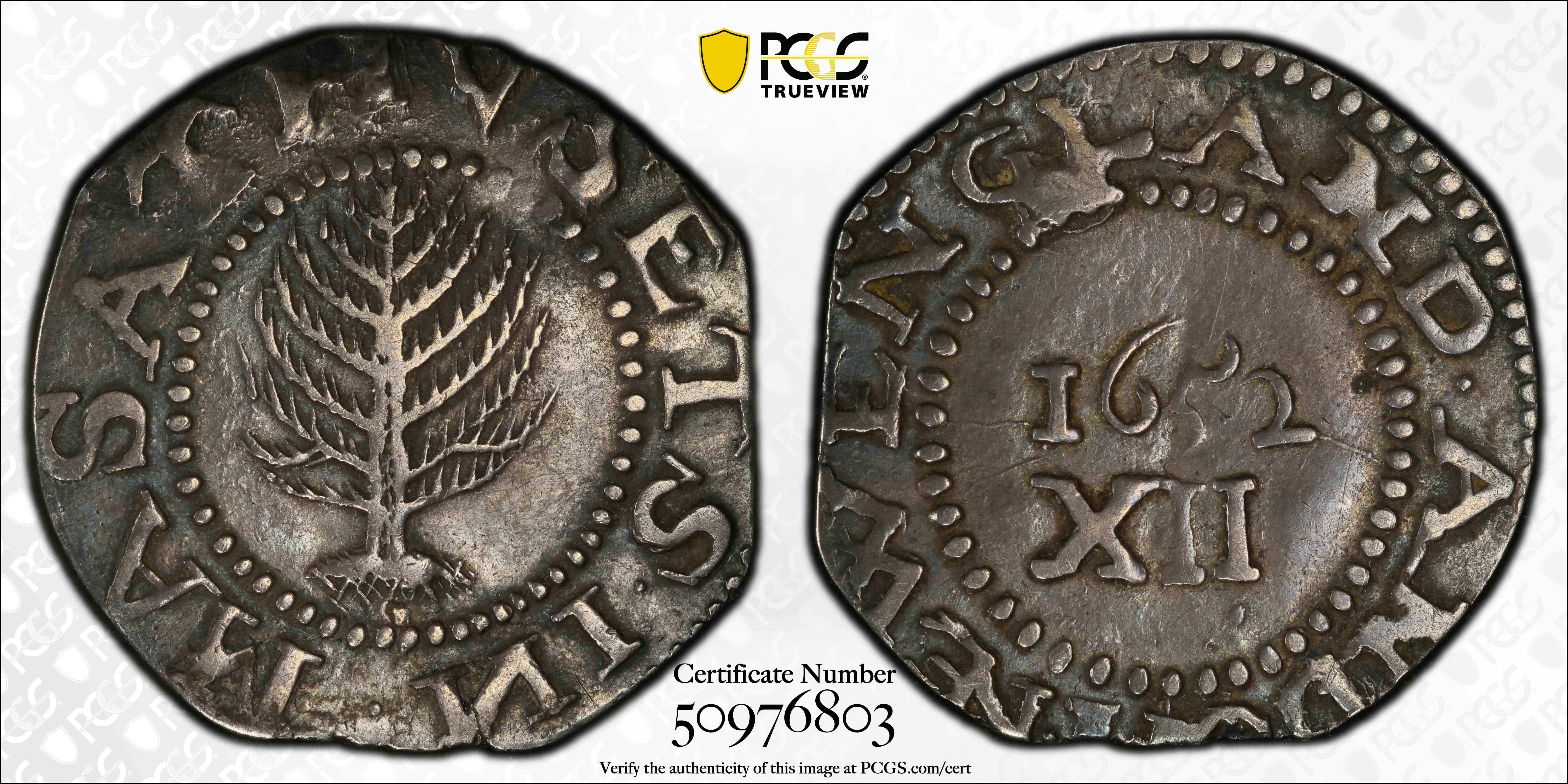 image for: 1652 Pine Tree Shilling. Large Planchet. Noe-8.2, Salmon 7-E, W-740. Rarity-5. Without Pellets at Trunk, Ligatured NE in Legend. EF-40 (PCGS).