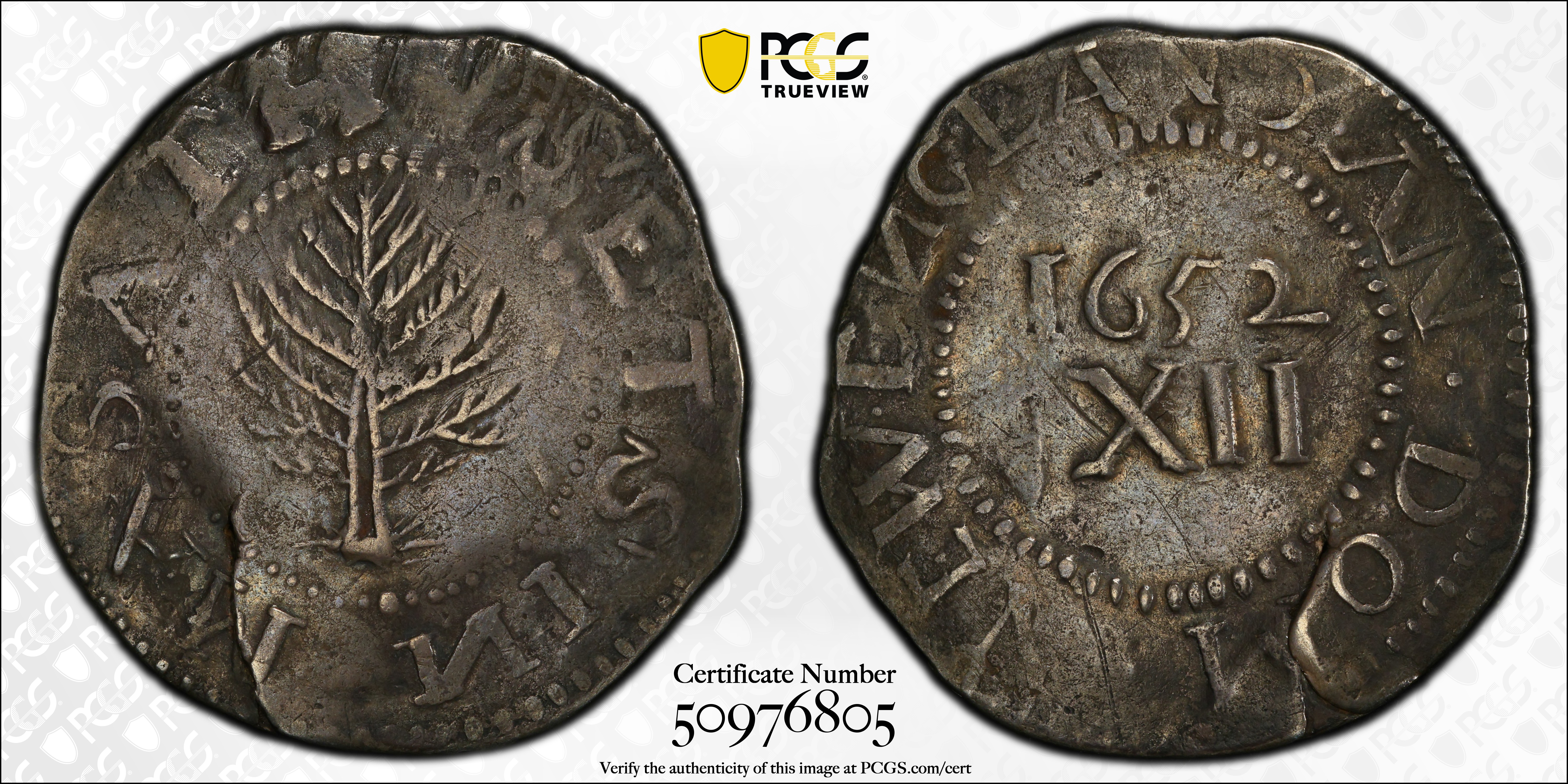 image for: 1652 Pine Tree Shilling. Large Planchet. Noe-10, Salmon 8-Diii, W-750. Rarity-3. Without Pellets at Trunk, Reversed Ns. VF-25 (PCGS).