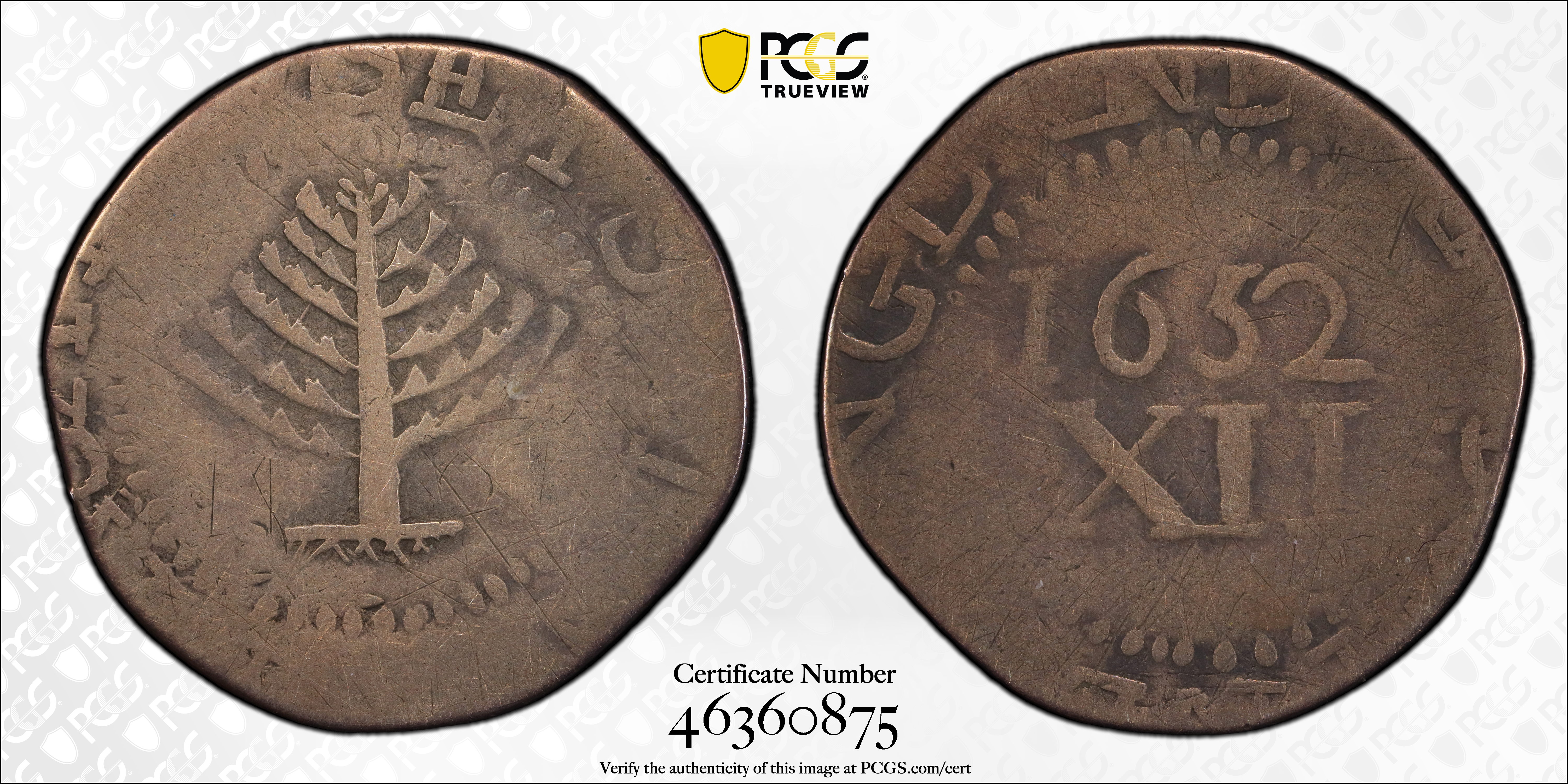 image for: 1652 Pine Tree Shilling. Large Planchet. Noe-13, Salmon 13-X, W-780. Rarity-6+. Without Pellets at Trunk. VG-8 (PCGS).