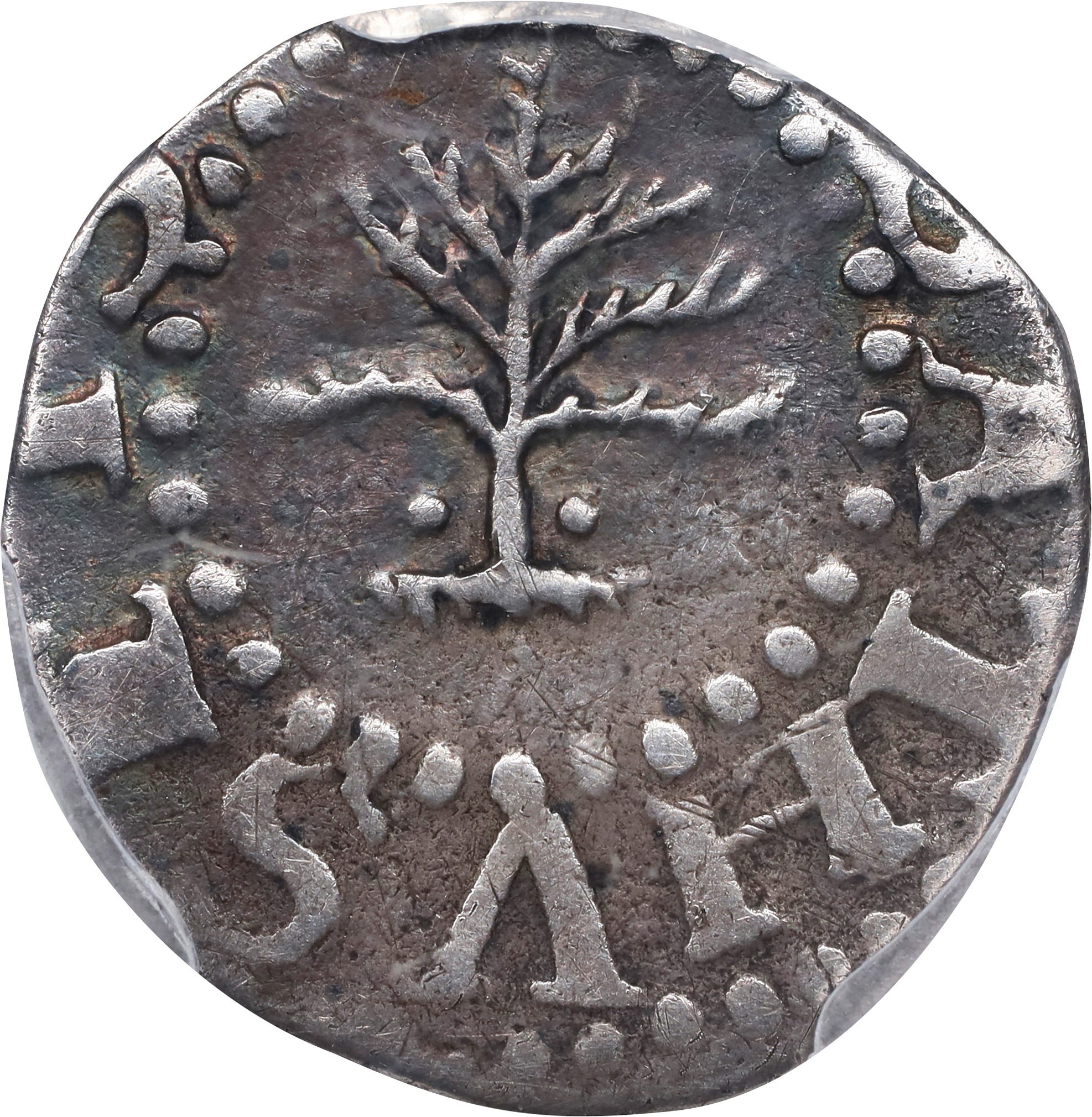 image for: 1652 Pine Tree Threepence. Noe-34, Salmon 1-A, W-630. Rarity-4. Pellets at Trunk. VF-20 (PCGS).