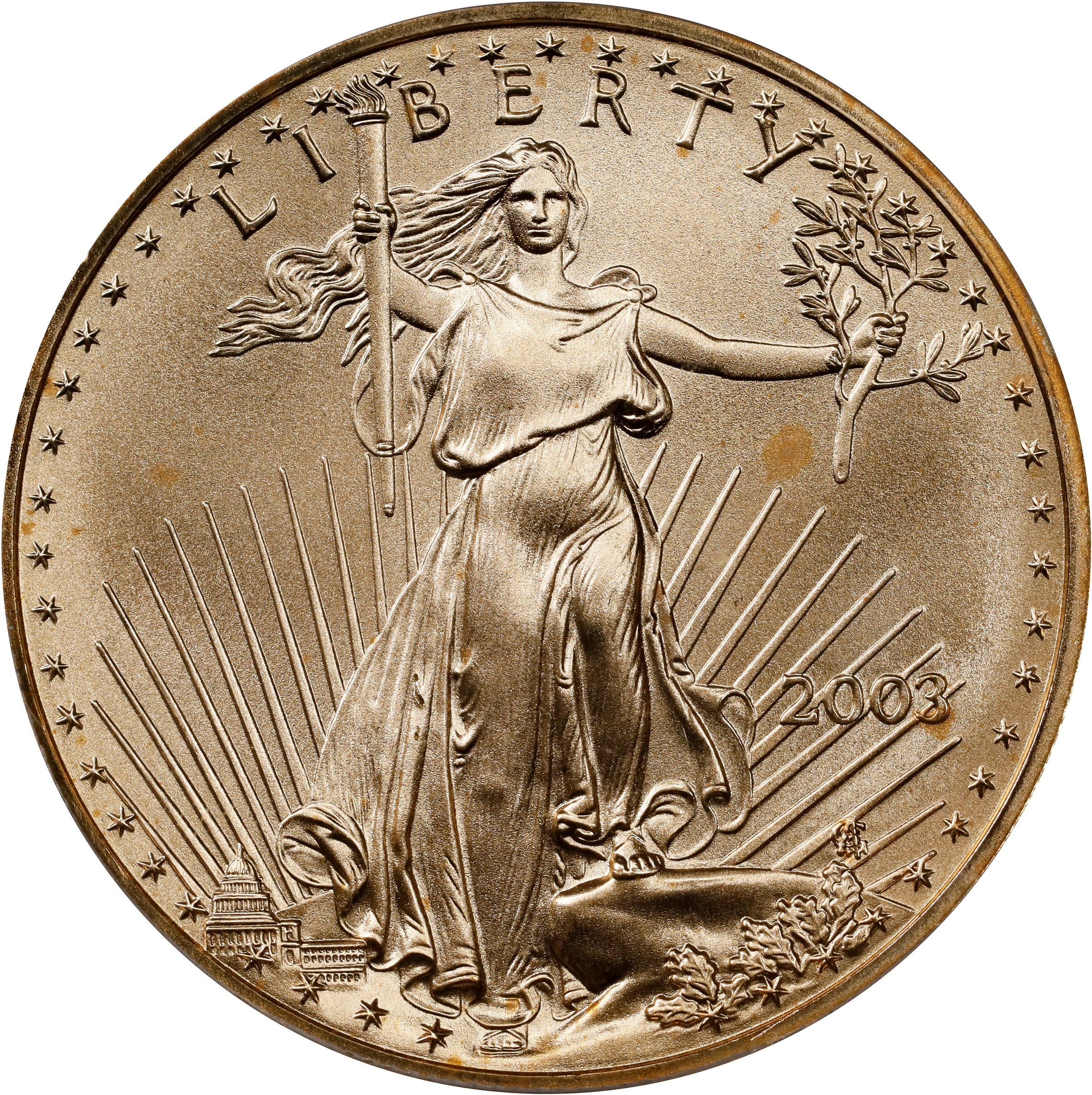image for: 2003 One-Ounce Gold Eagle. MS-70 (ICG).