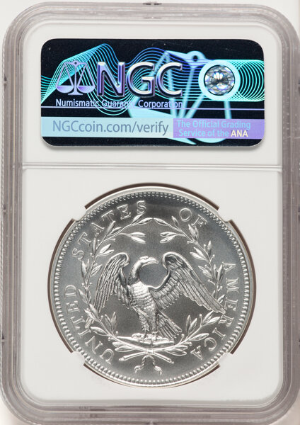 image for: 2024 230th Anniversary Flowing Hair, Silver Medal NGC MS70