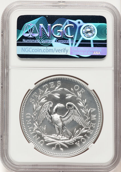 image for: 2024 230th Anniversary Flowing Hair, Silver Medal NGC MS70