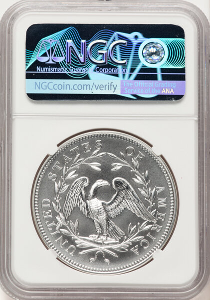 image for: 2024 230th Anniversary Flowing Hair, Silver Medal NGC MS69