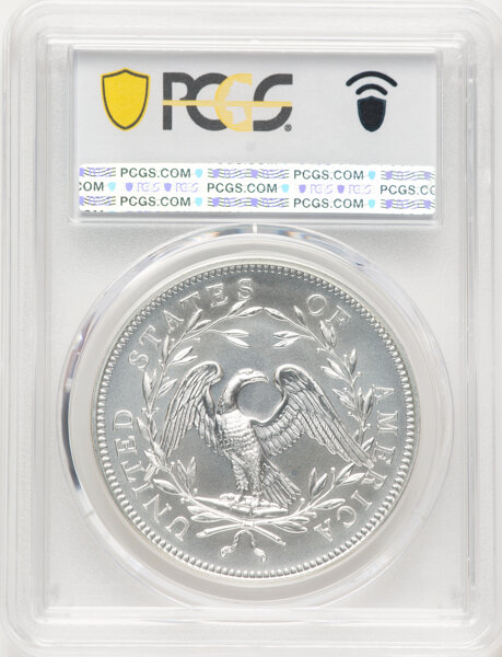 image for: 2024 230th Anniversary Flowing Hair, Silver Medal PCGS MS69