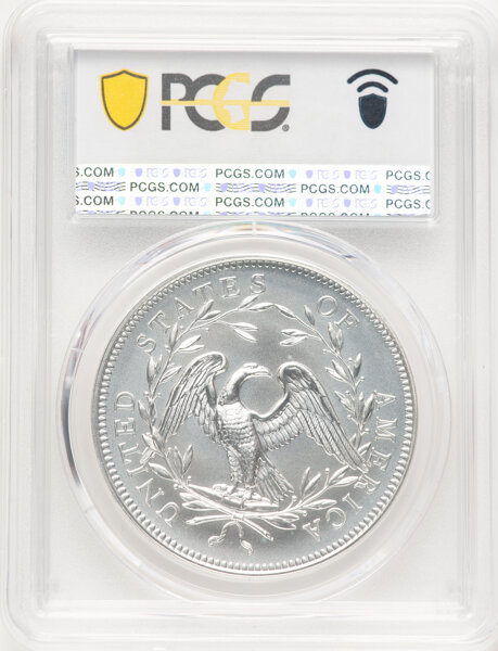 image for: 2024 230th Anniversary Flowing Hair, Silver Medal PCGS MS69