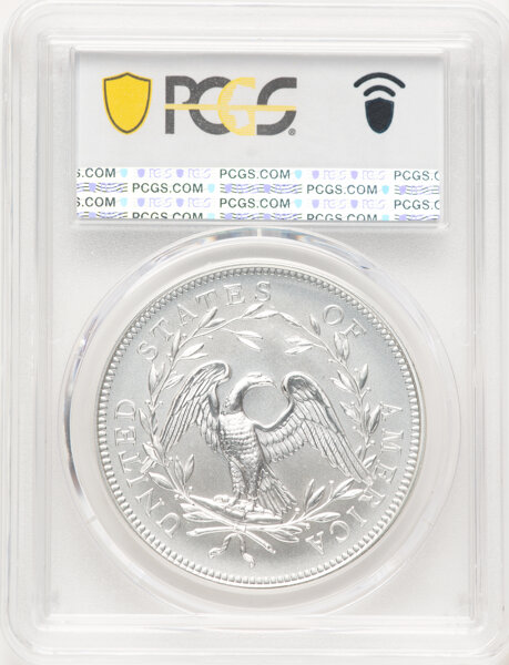 image for: 2024 230th Anniversary Flowing Hair, Silver Medal PCGS MS69