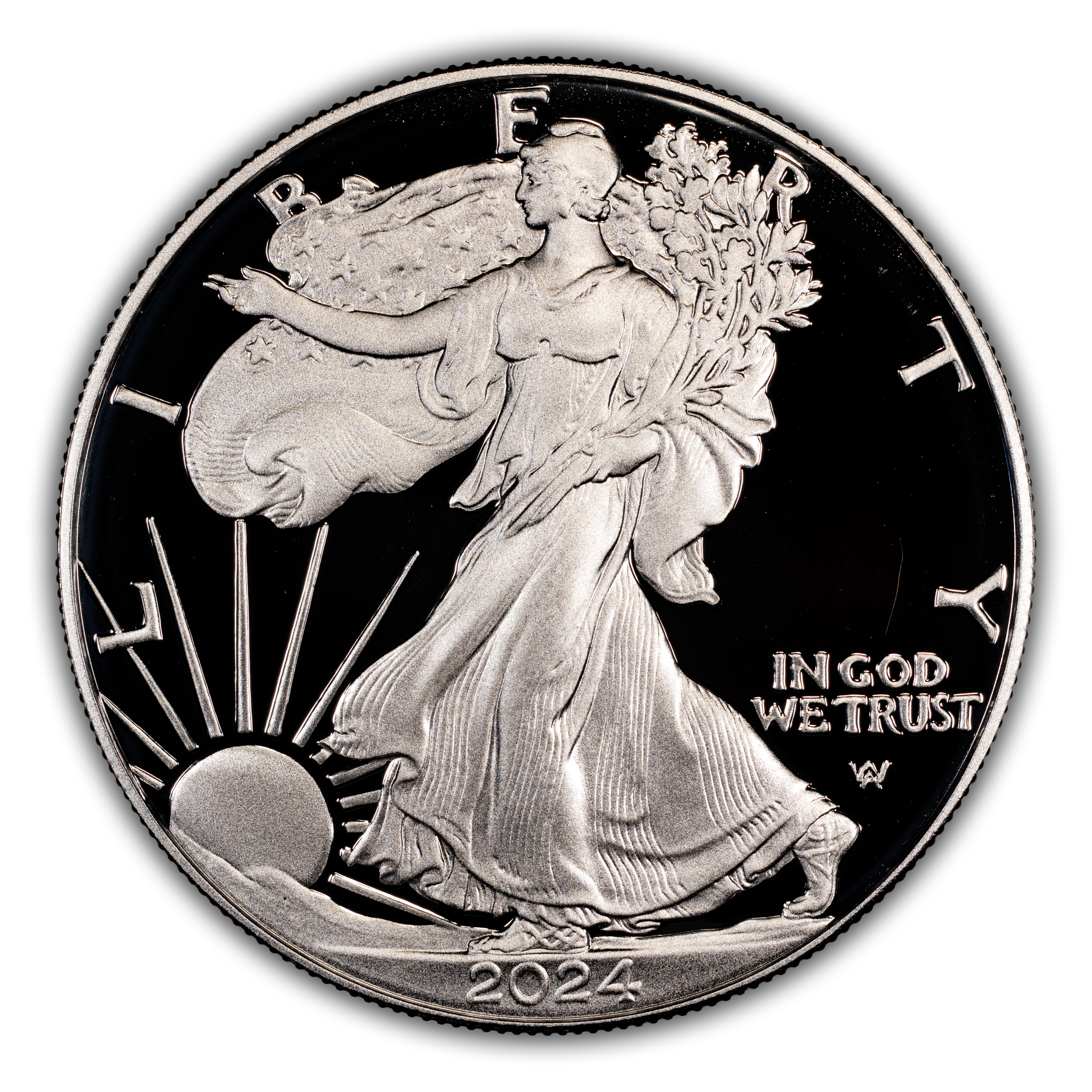 2024-W $1 Silver Eagle PR DCAM