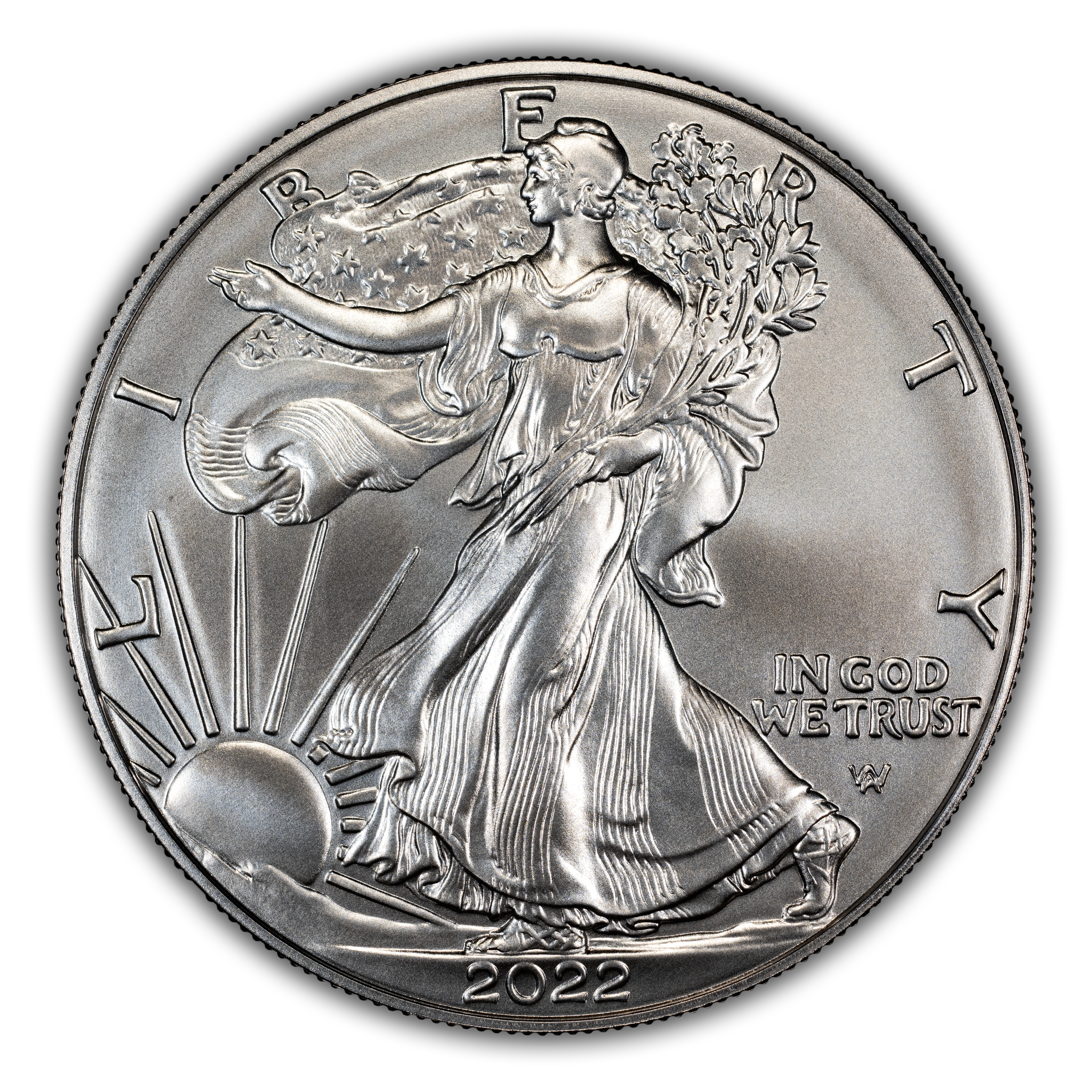 2022-W $1 Silver Eagle, Burnished MS