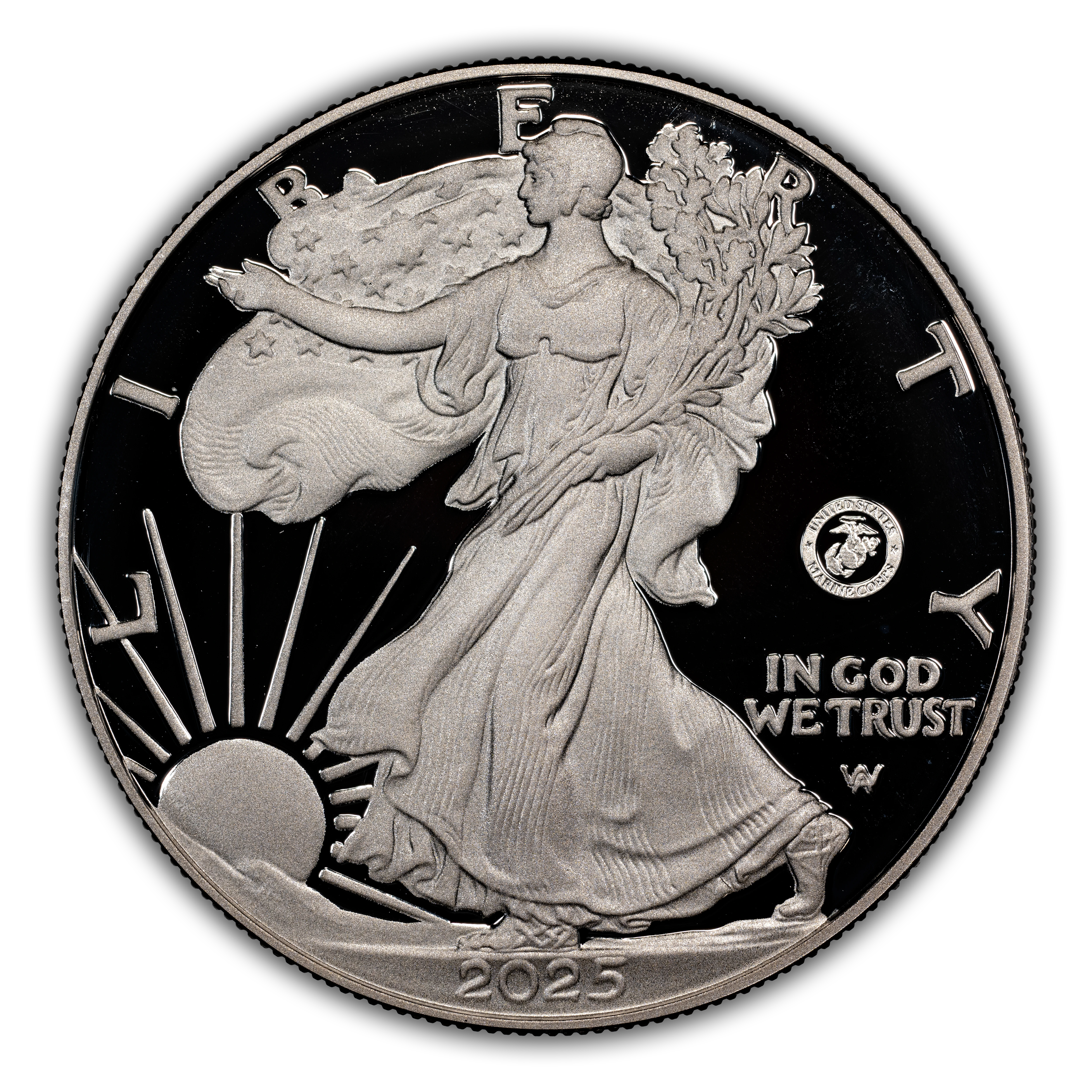 2025-P $1 Silver Eagle, U.S. Marine Corps Privy PR DCAM