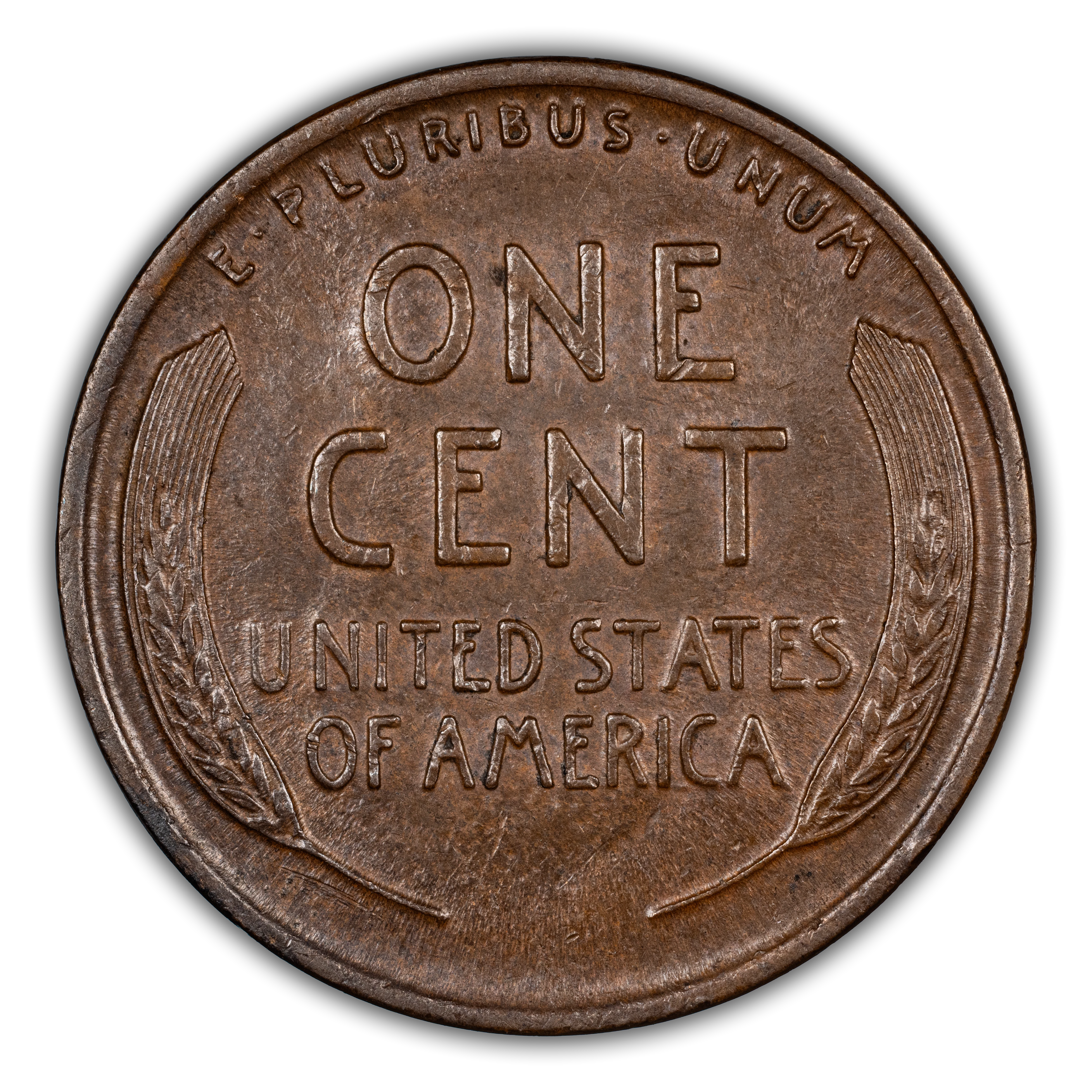 返金 1916-S Walking Liberty Half Dollar. MS-65 (CACG) | eBay