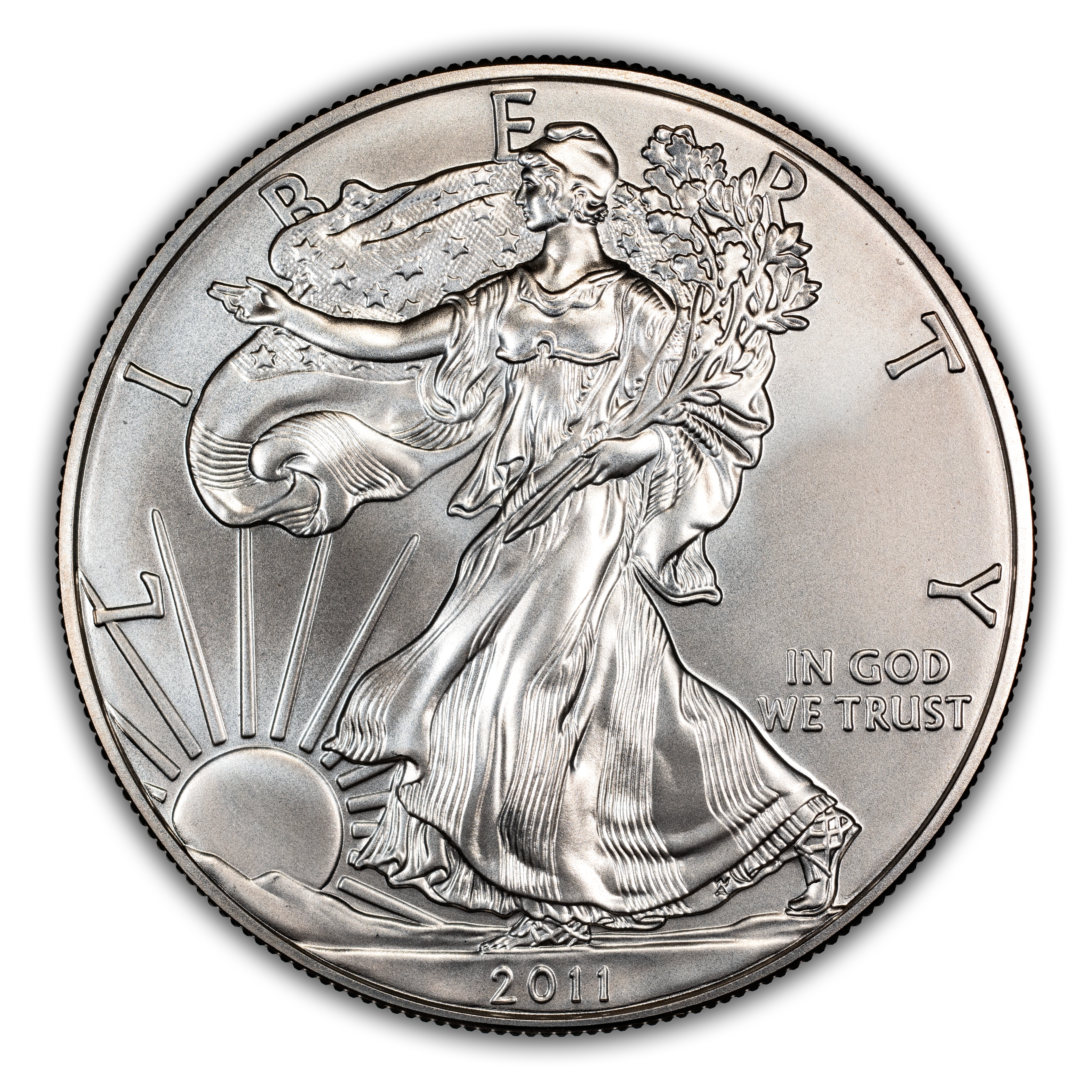 2011-S $1 Silver Eagle, Burnished, 25th Anniversary MS
