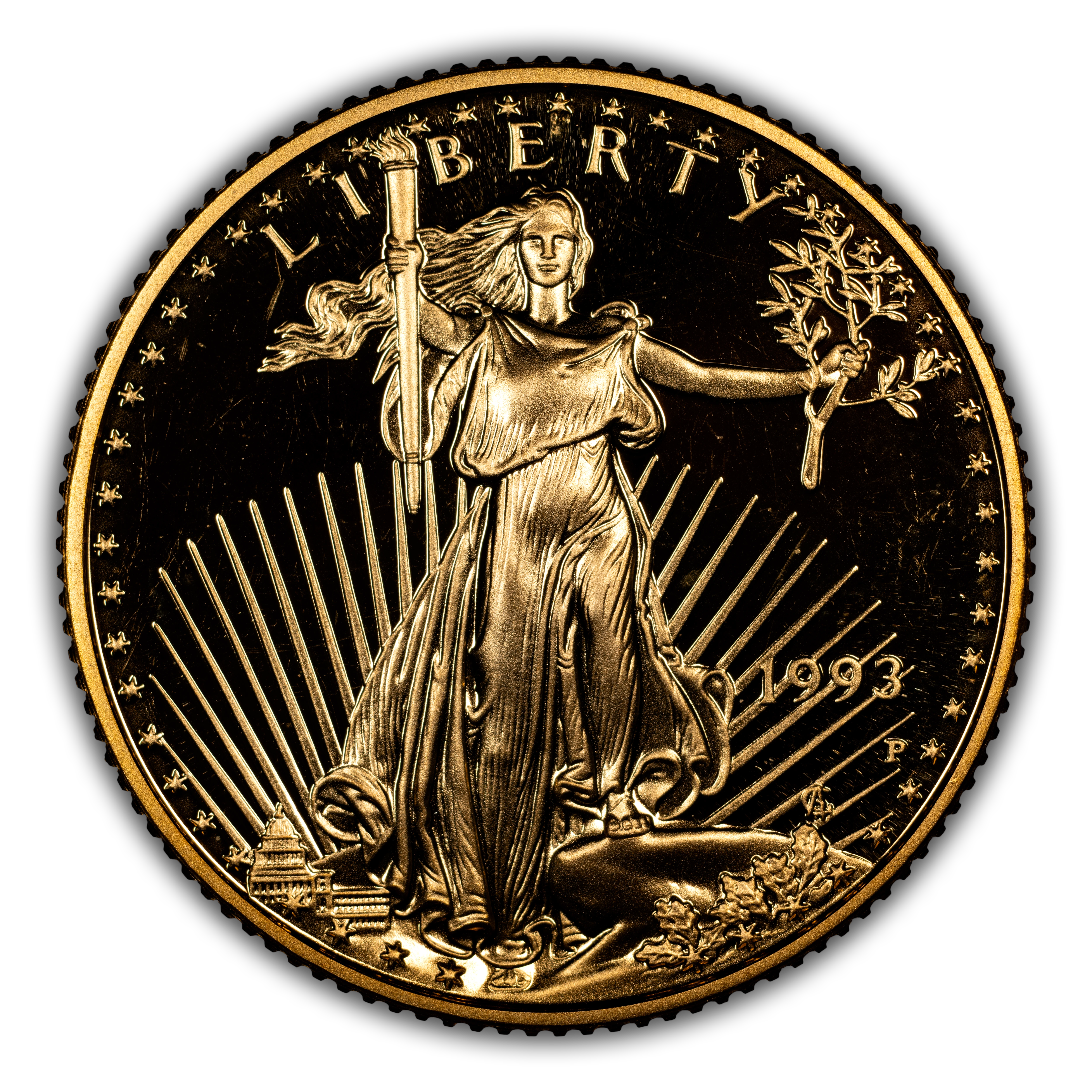 1993-P $10 Gold Eagle PR DCAM