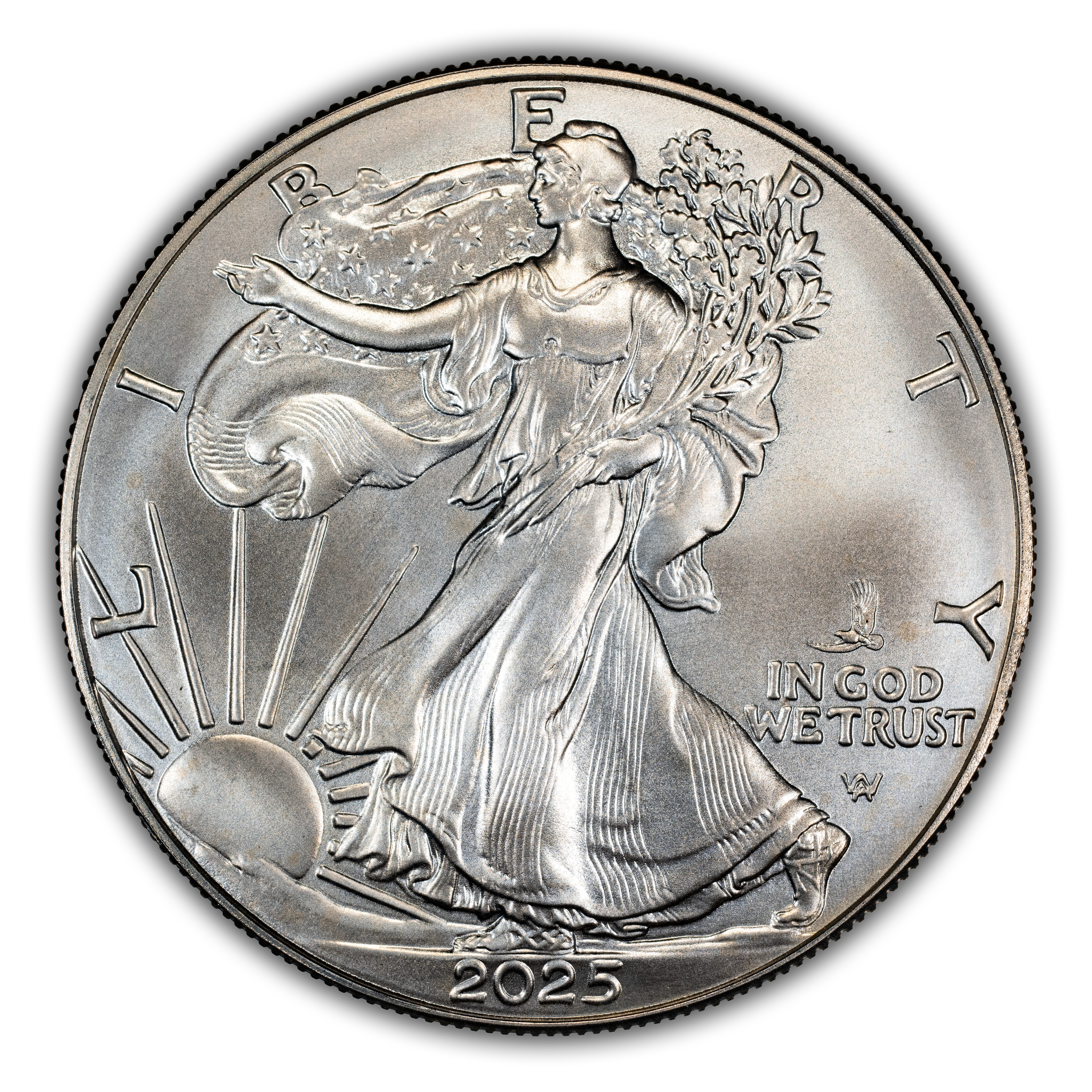 2025-(P) $1 Silver Eagle, Eagle Privy MS