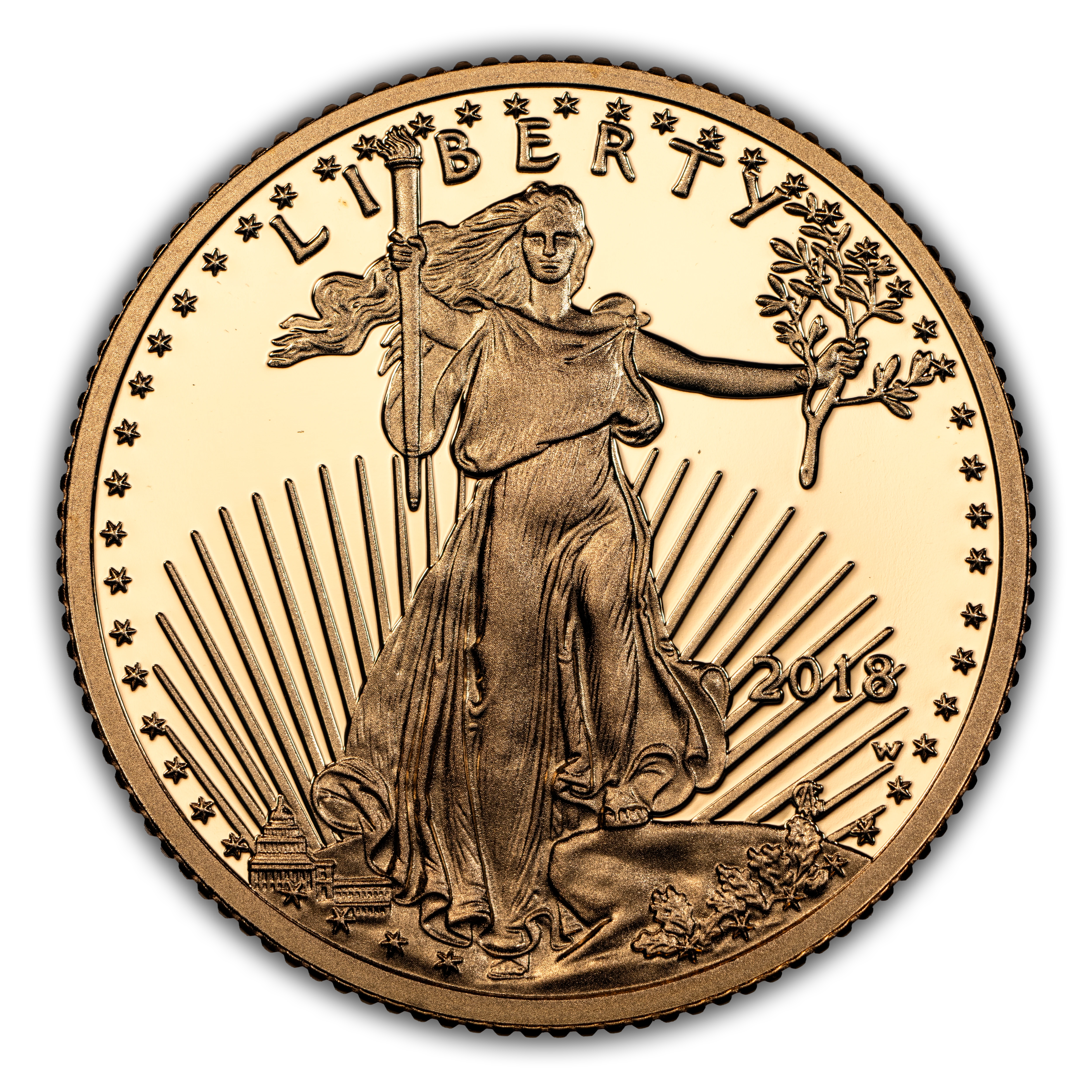 2018-W $10 Gold Eagle PR DCAM