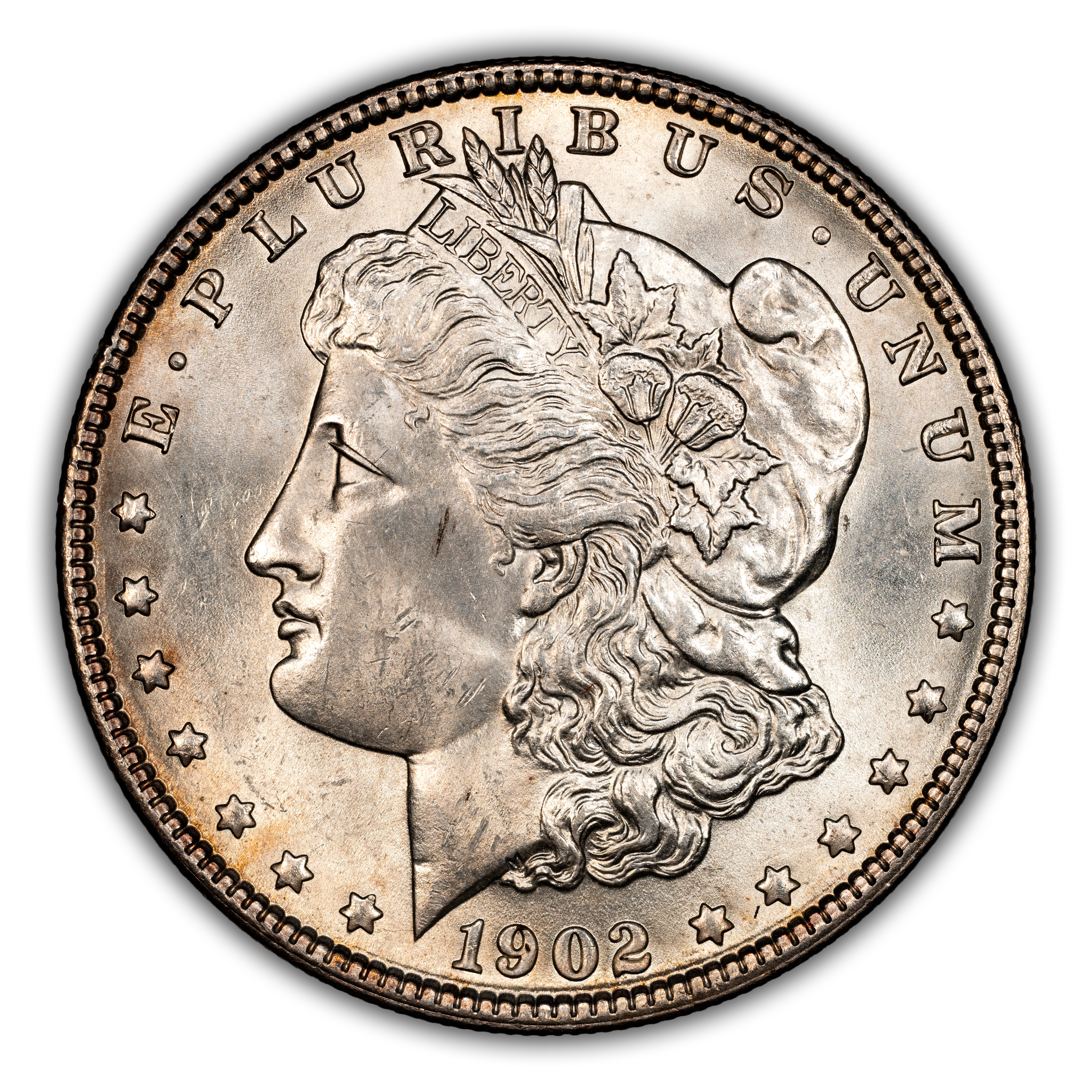 1902 $1 MS