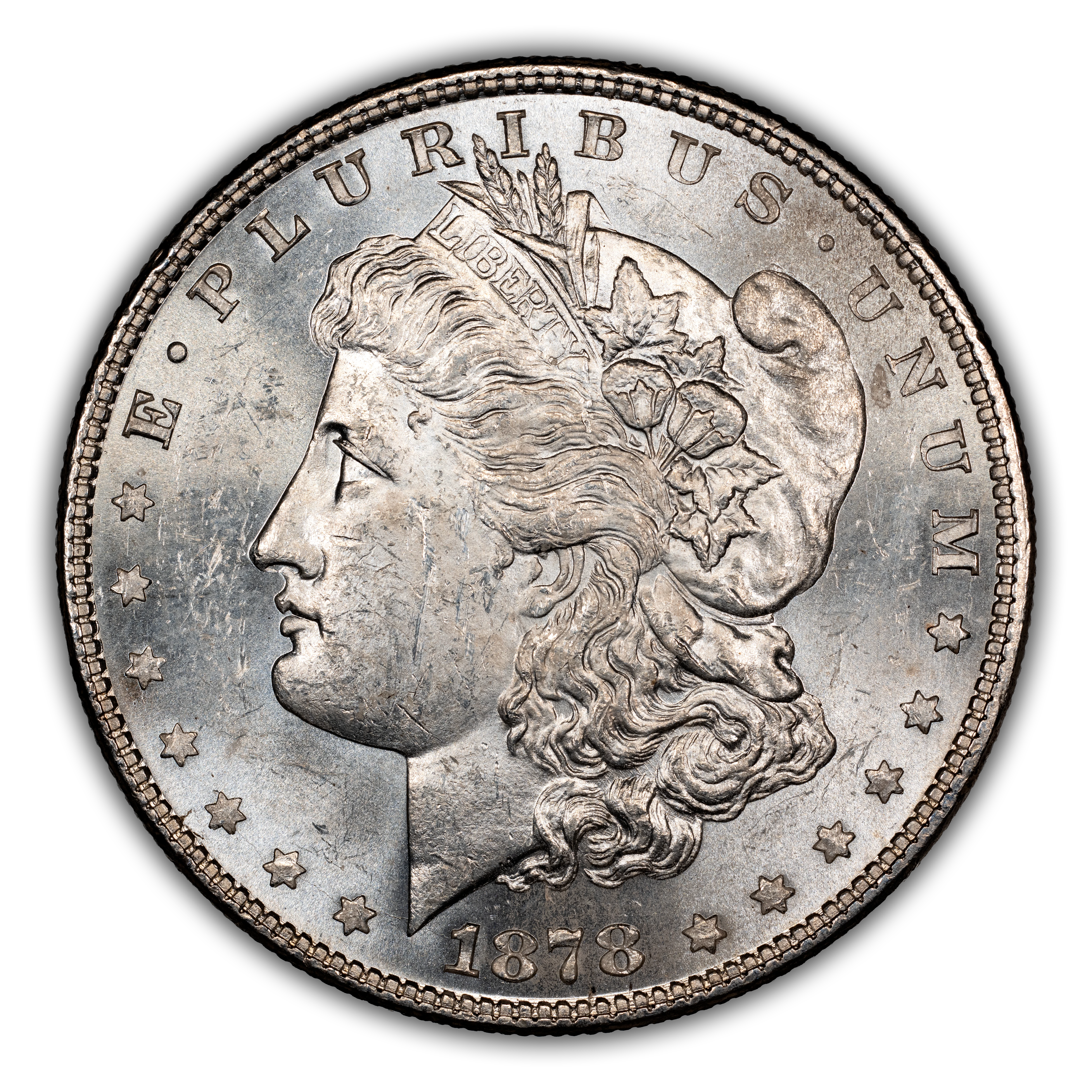 1878 7TF $1 Reverse of 1878, Doubled LIBERTY, VAM-80B MS