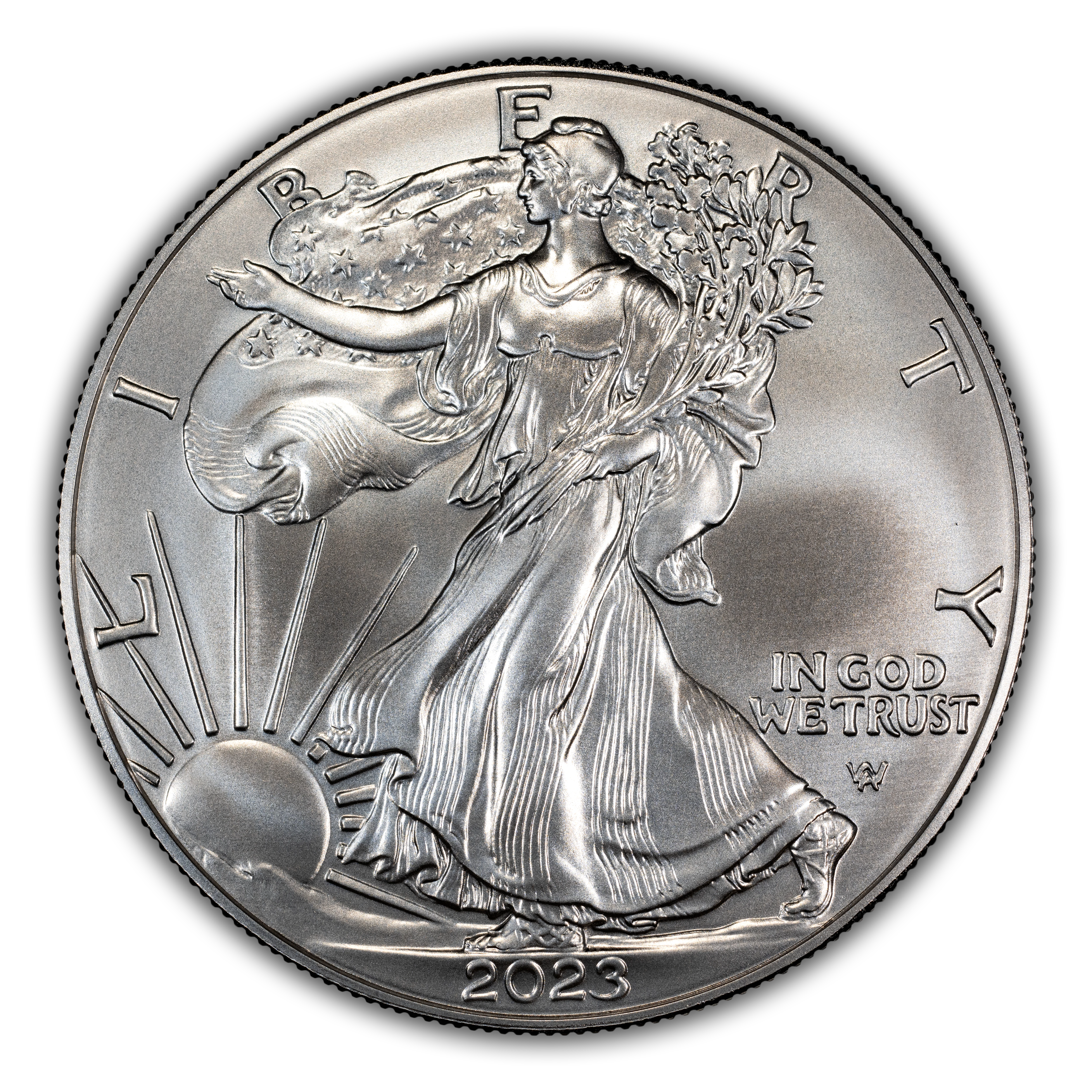 2023-W $1 Silver Eagle, Burnished MS