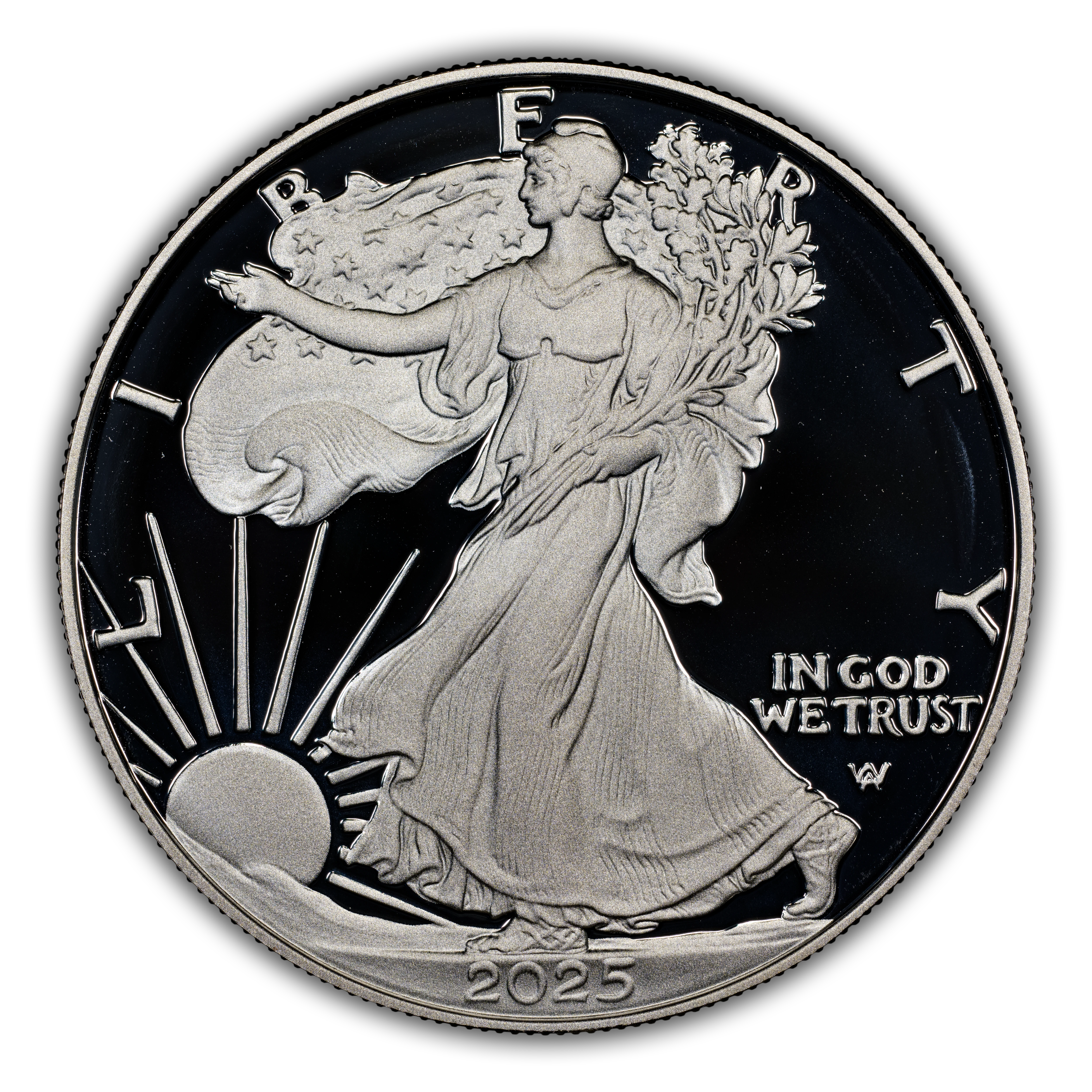 2025-S $1 Silver Eagle PR DCAM