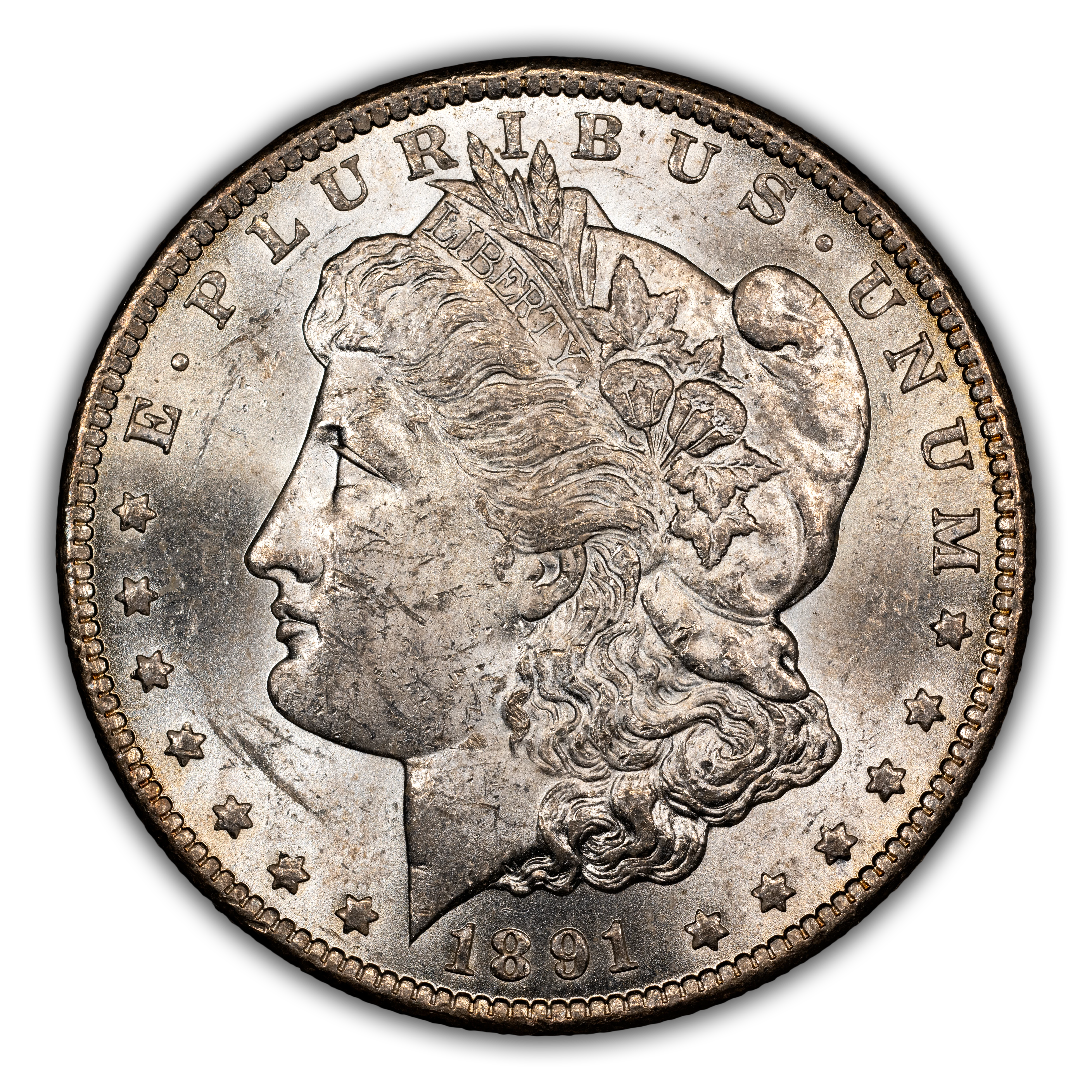 1891-CC $1 Spitting Eagle, VAM-3 MS