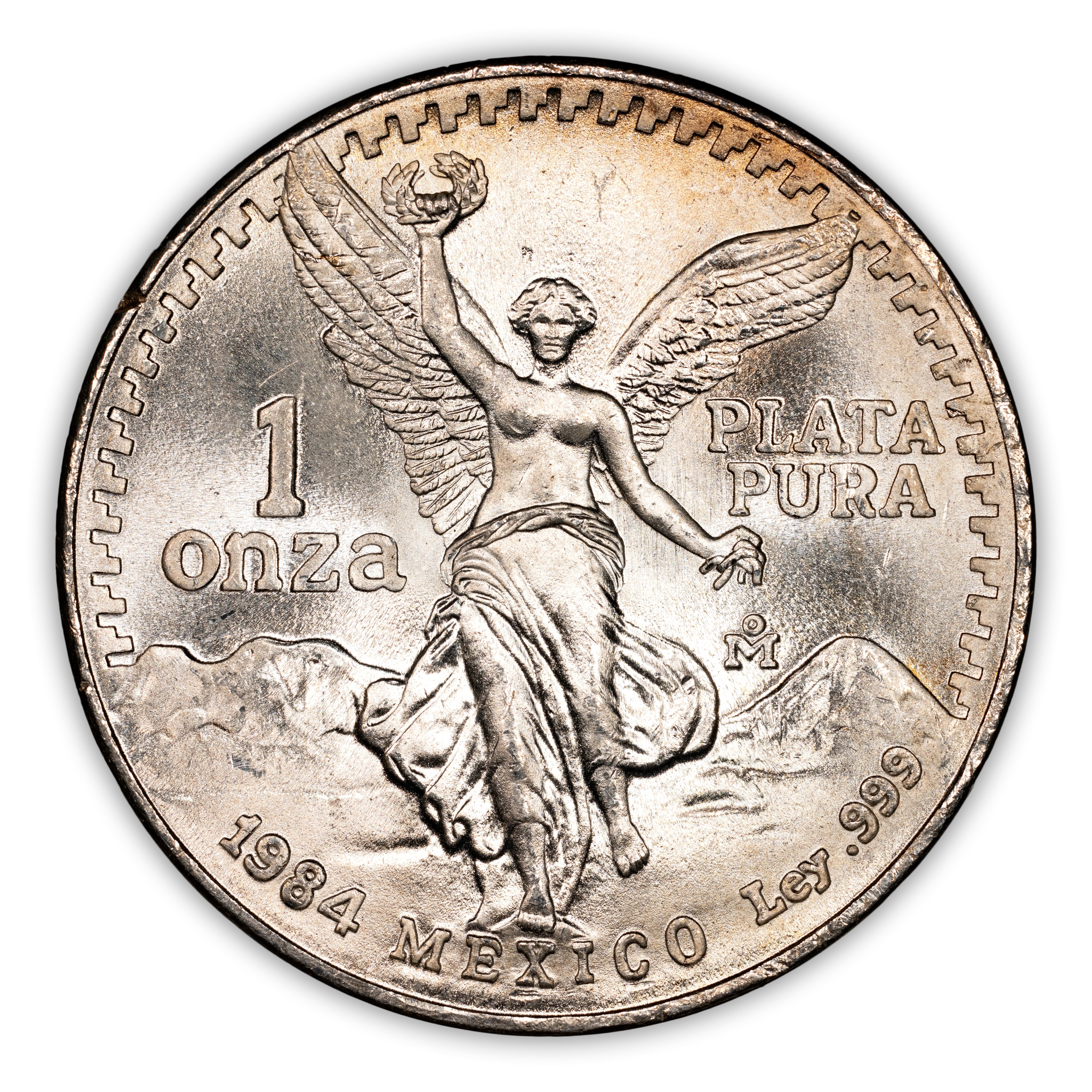 Libertad 1 Onza Silver, 31.1g MS [Type]