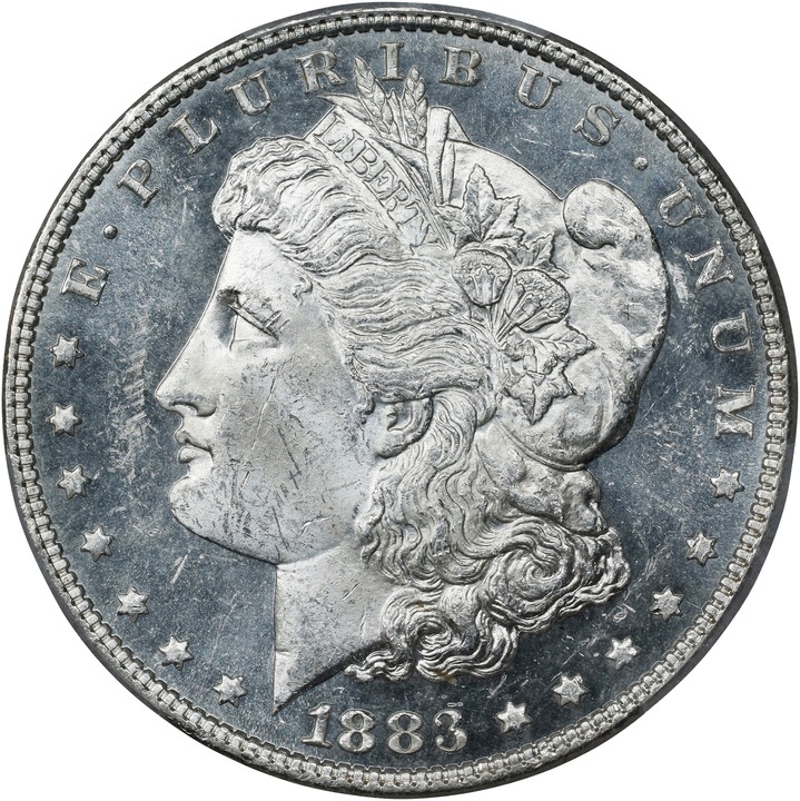 1883 $1  MS PL thumbnail 13