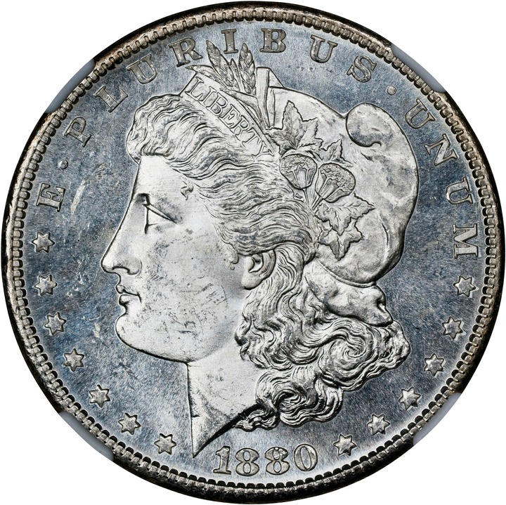 1880/79-S $1  Medium S, VAM-8 MS65 CAC thumbnail 3