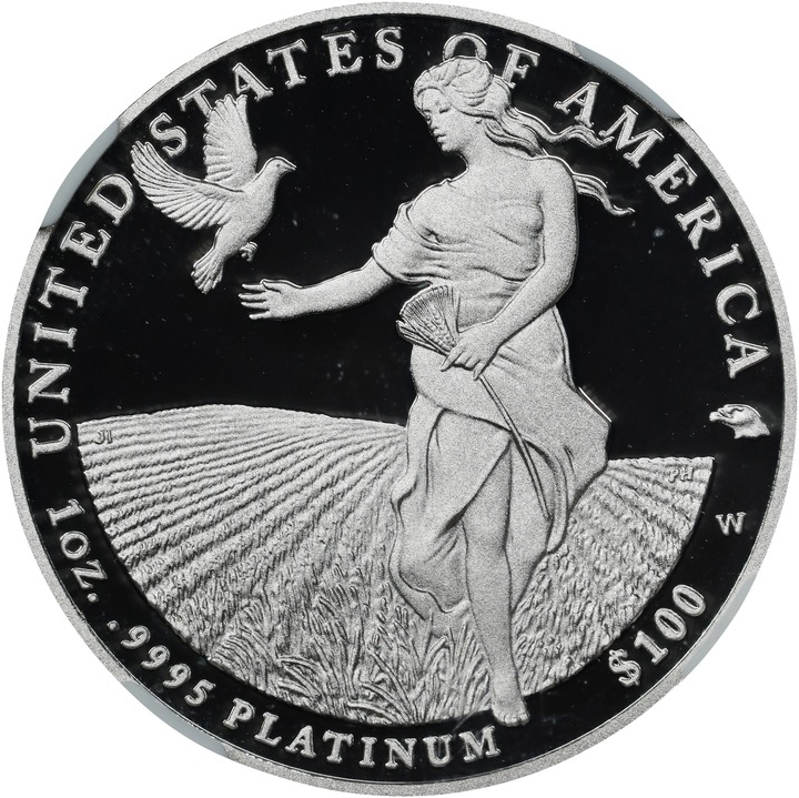 2011-W P$100  Platinum Eagle PR DCAM OGP thumbnail 8