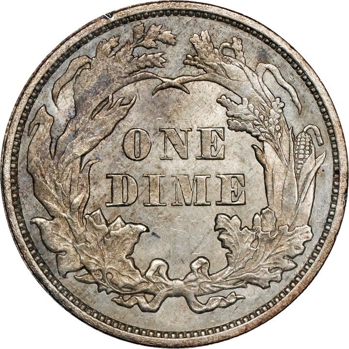 1862 10c MS64 thumbnail 4