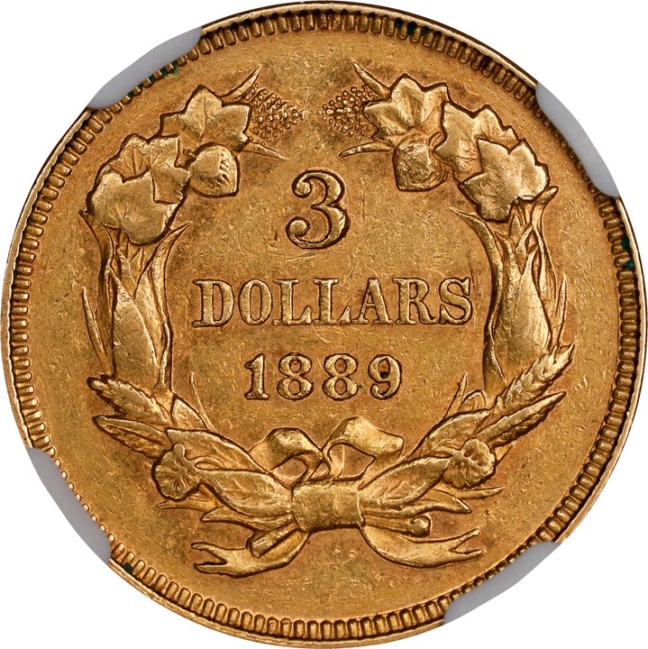 1889 $3 VF35 thumbnail 19