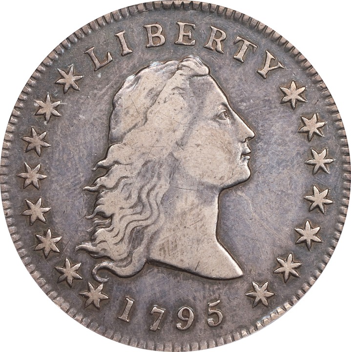 1795 $1  Flowing Hair, 2 Leaves MS thumbnail 9
