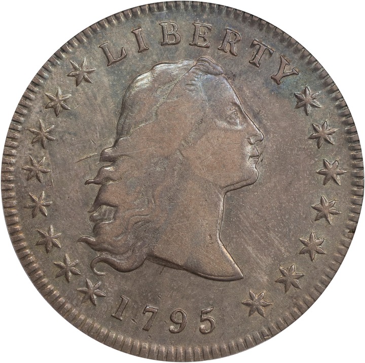 1795 $1  Flowing Hair, 3 Leaves MS thumbnail 14