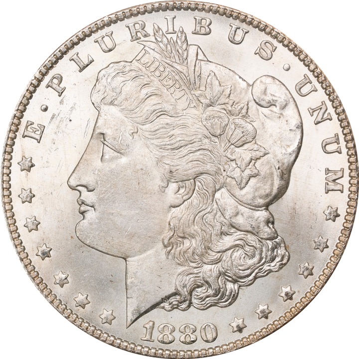 1880/79-CC $1  Reverse of 1878 MS thumbnail 19