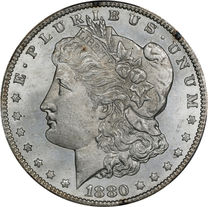 1880/79-CC $1  Reverse of 1878 MS thumbnail 20
