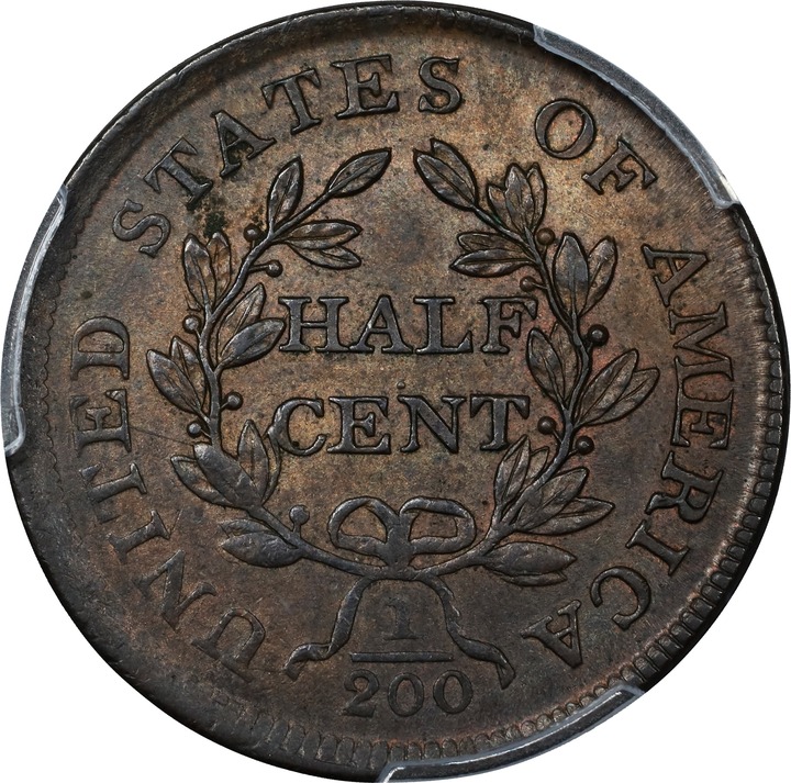 Draped Bust Half Cent 1/2c 1800-1808 MS BN [Type] MS67 BN thumbnail 16