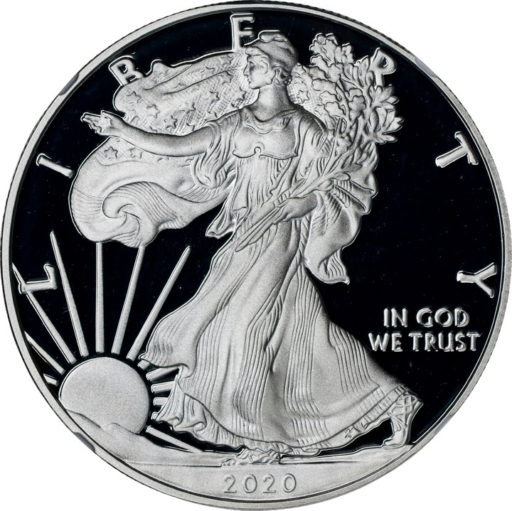 2020-S $1  Silver Eagle PR DCAM PR64 DCAM thumbnail 17