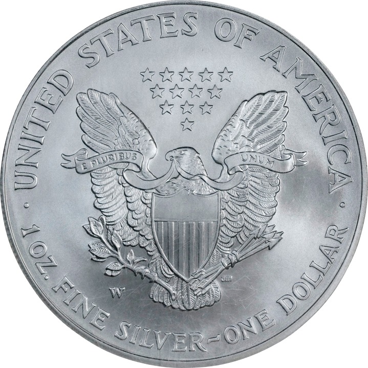 2008-W $1  Silver Eagle, Burnished, Reverse of 2007 MS69 thumbnail 20