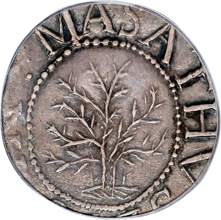 1652 Shilling Oak Tree MS thumbnail 3