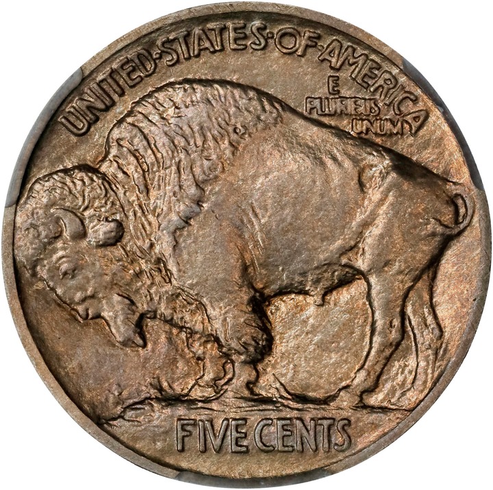 Buffalo Nickel 5c Type 1 Reverse, Matte Finish, 1913 [Type] PR66 thumbnail 2