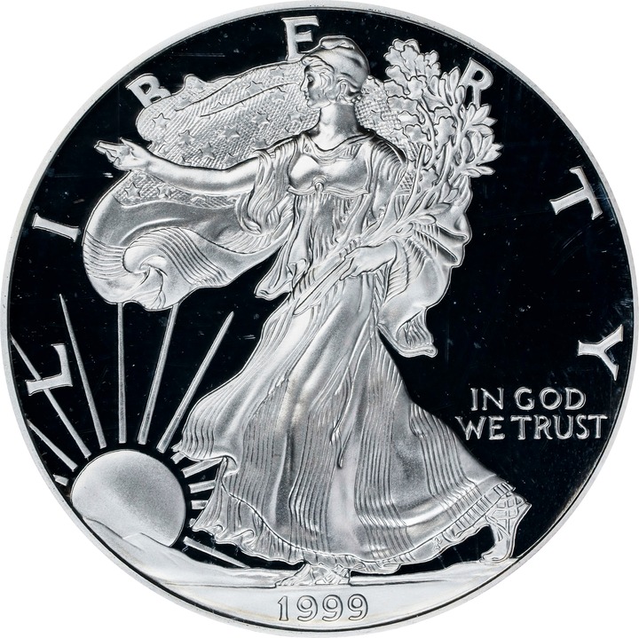 1999-P $1  Silver Eagle PR DCAM thumbnail 19