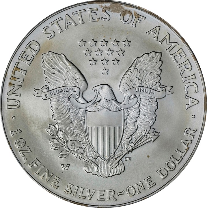 2007-W $1  Silver Eagle, Burnished OGP thumbnail 20