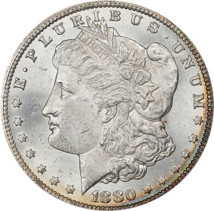 1880/79-CC $1  Reverse of 1878, GSA Hoard, Hard package, VAM-4 MS65 CAC thumbnail 9