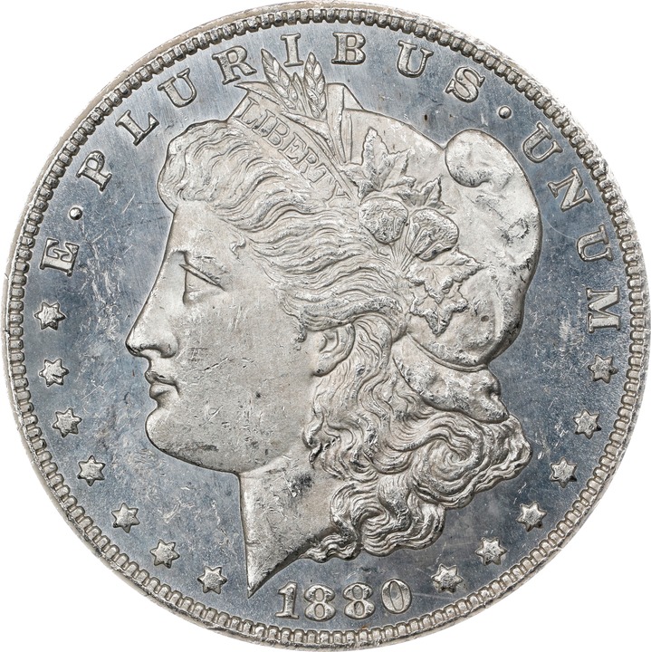 1880/79-CC $1  Reverse of 1878, GSA Hoard, Hard package, VAM-4 MS65 CAC thumbnail 23