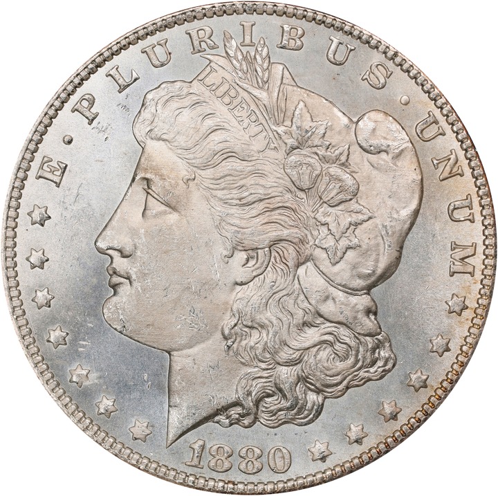 1880/79-CC $1  Reverse of 1878 MS thumbnail 17