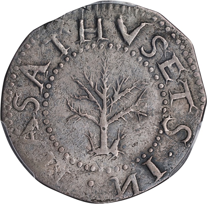1652 Shilling Oak Tree, Spiny Tree MS thumbnail 3