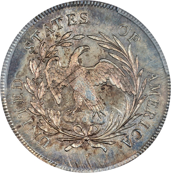 Draped Bust Dollar $1  Small Eagle, 1795-1798 [Type] MS60 thumbnail 11