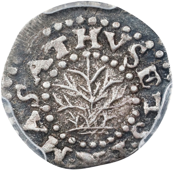 1662 2P Oak Tree, Small 2 MS thumbnail 3