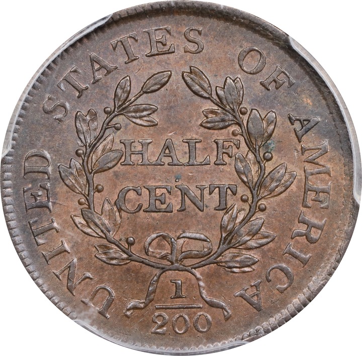 Draped Bust Half Cent 1/2c 1800-1808 MS BN [Type] MS62 BN thumbnail 2