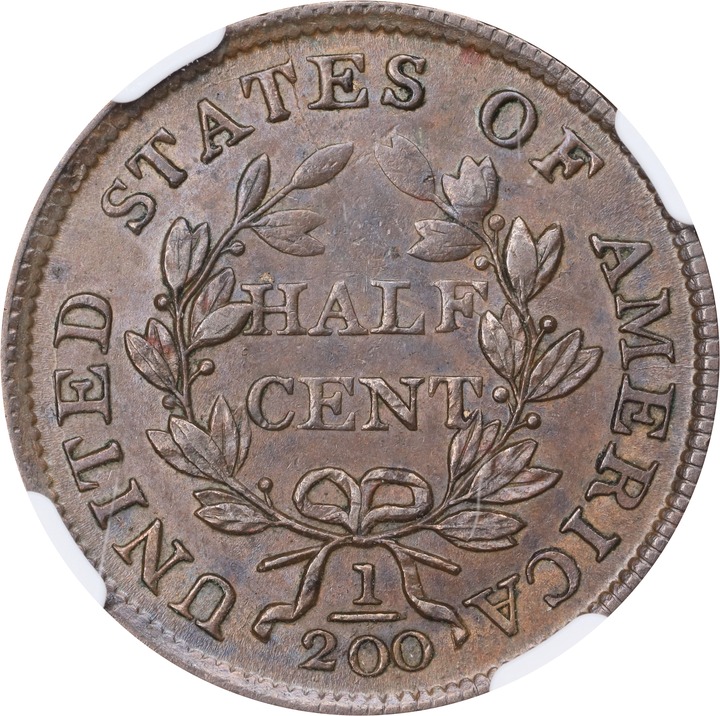 Draped Bust Half Cent 1/2c 1800-1808 MS BN [Type] MS67 BN thumbnail 14